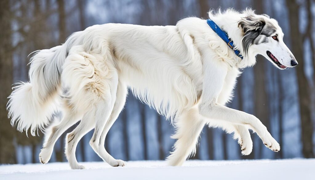 Charakter Borzoi