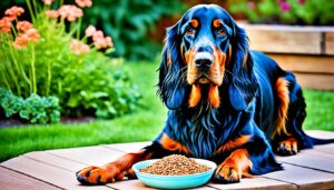 Gordon Setter Ernährung