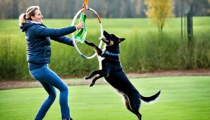 Training Belgischer Schäferhund